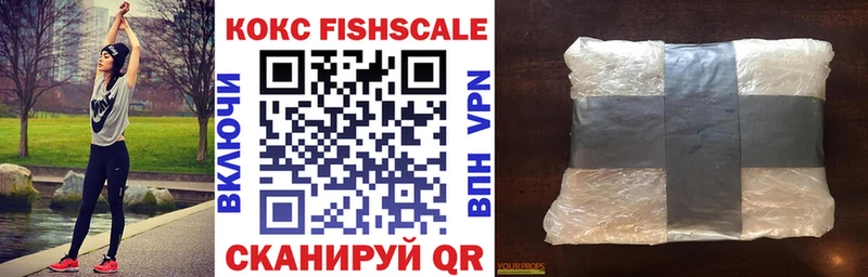 Купить  Спасск-Дальний  Кокаин Fish Scale 