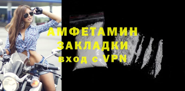 гидра Арсеньев