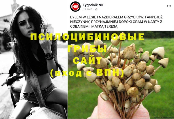амфетамин Аркадак