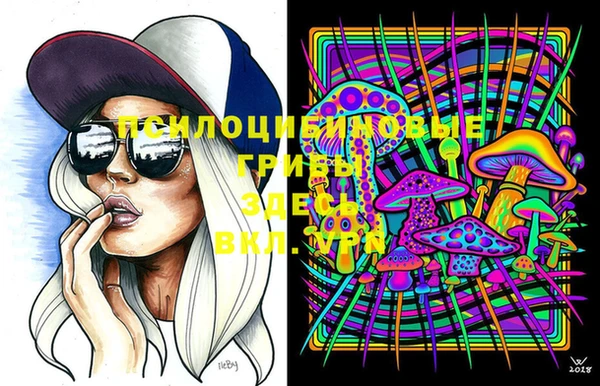 таблы Армянск
