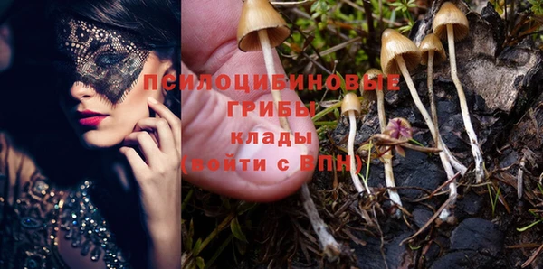 гидра Арсеньев