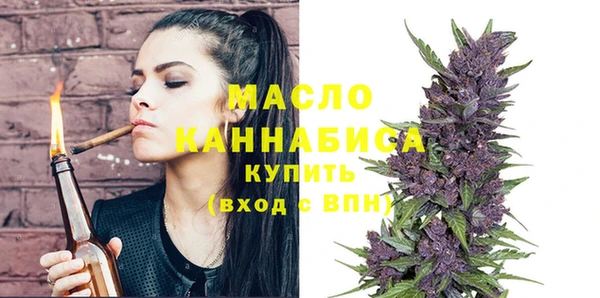 гидра Арсеньев