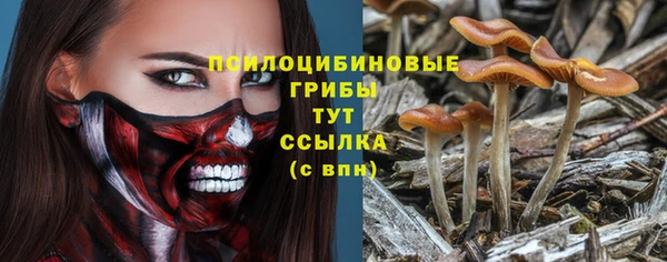 таблы Армянск