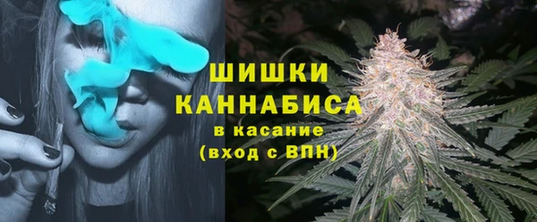 гидра Арсеньев